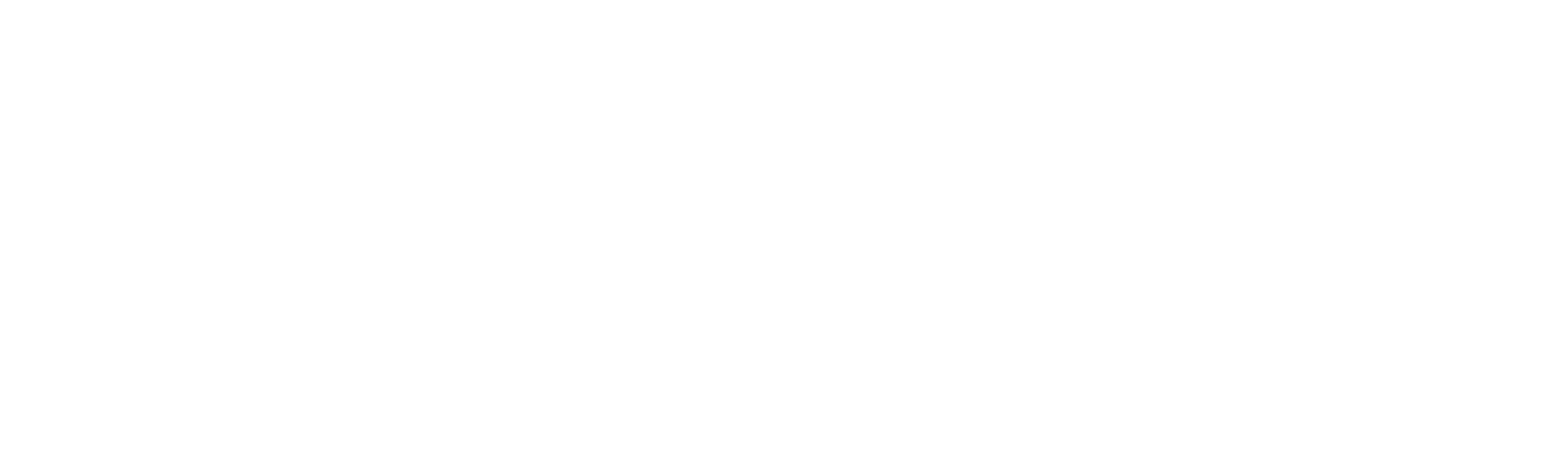 AftrLife Store